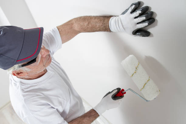 Best Ceiling Painting Services  in James Island, SC