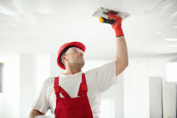 Touch-Up Painting Services in James Island, SC