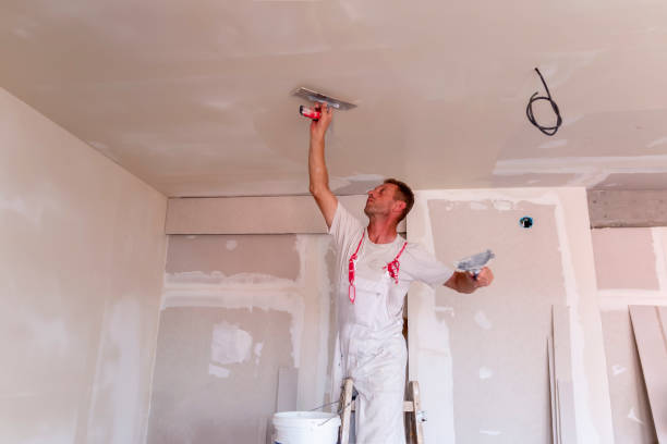 Best Professional Drywall Finishing  in James Island, SC