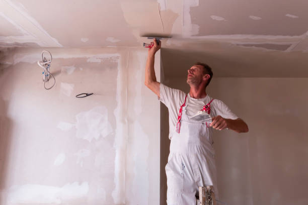 Best Drywall Crack Repair  in James Island, SC